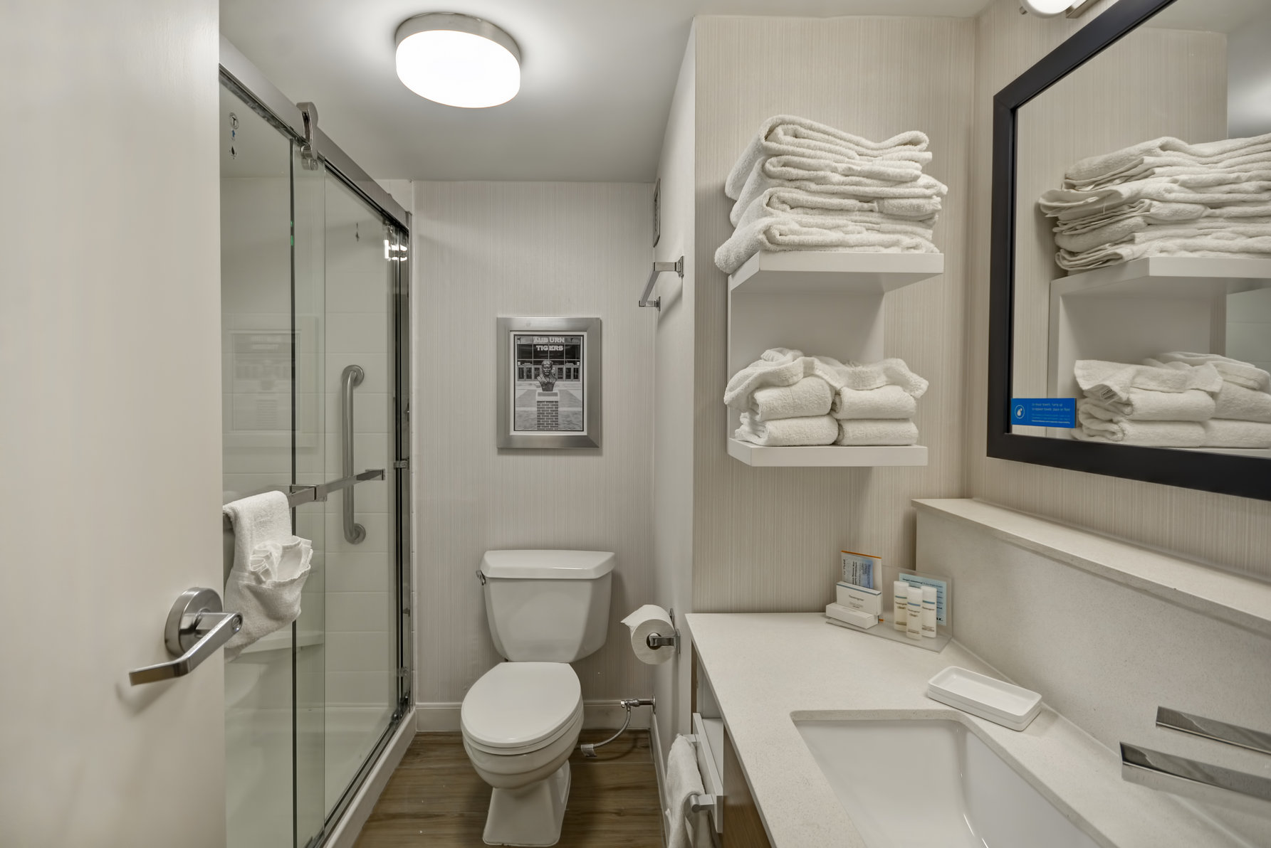Hampton Inn by Hilton Auburn Room Type - 1 KING SFBD LRG SHOWER
