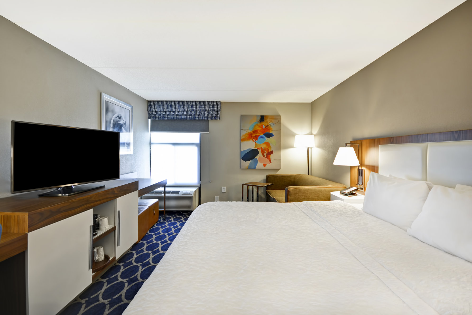 Hampton Inn by Hilton Auburn Room Type - 1KING SOFABED NONSMOKING