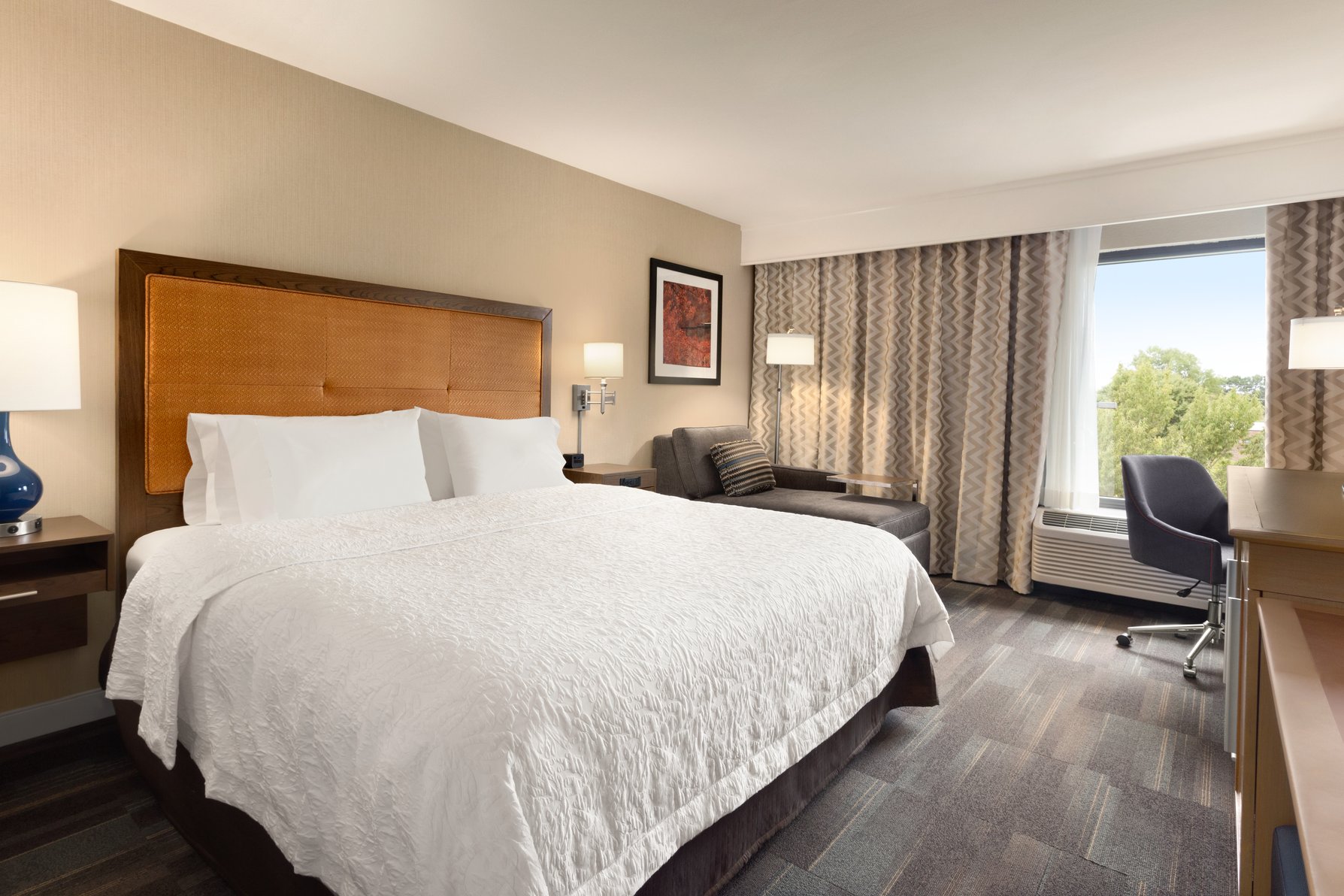 Hampton Inn by Hilton Fort Smith Room Type - 1 KNG ACC ROLLIN SHWR NS