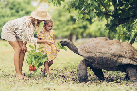 Tortoise Sanctuary