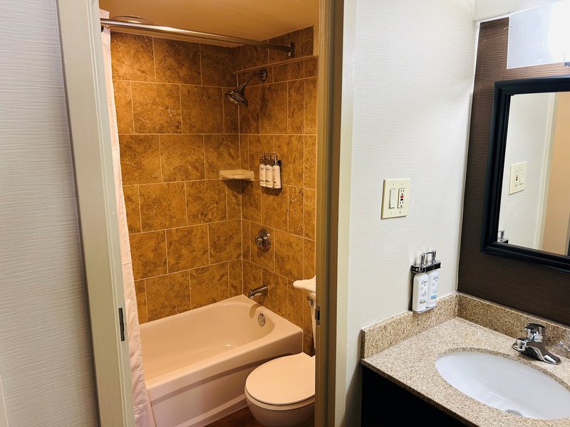 HOLIDAY INN EXPRESS MIDTOWN
