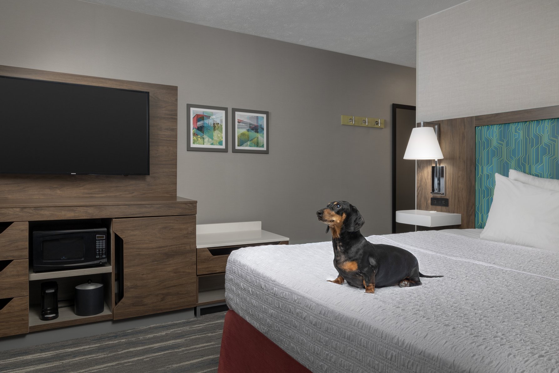 Hampton Inn Waterloo Room Type - 1 KN ACC RI SHWR STE NS
