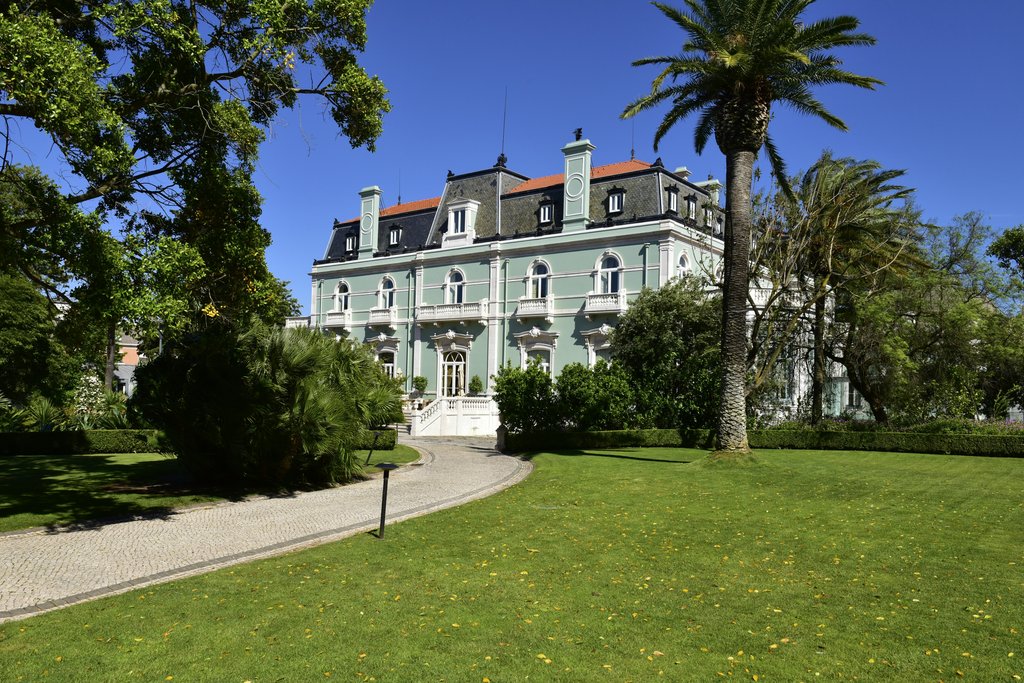 Guest photo