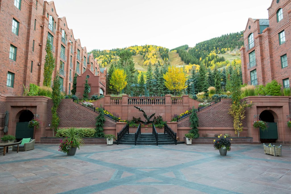 Guest photo