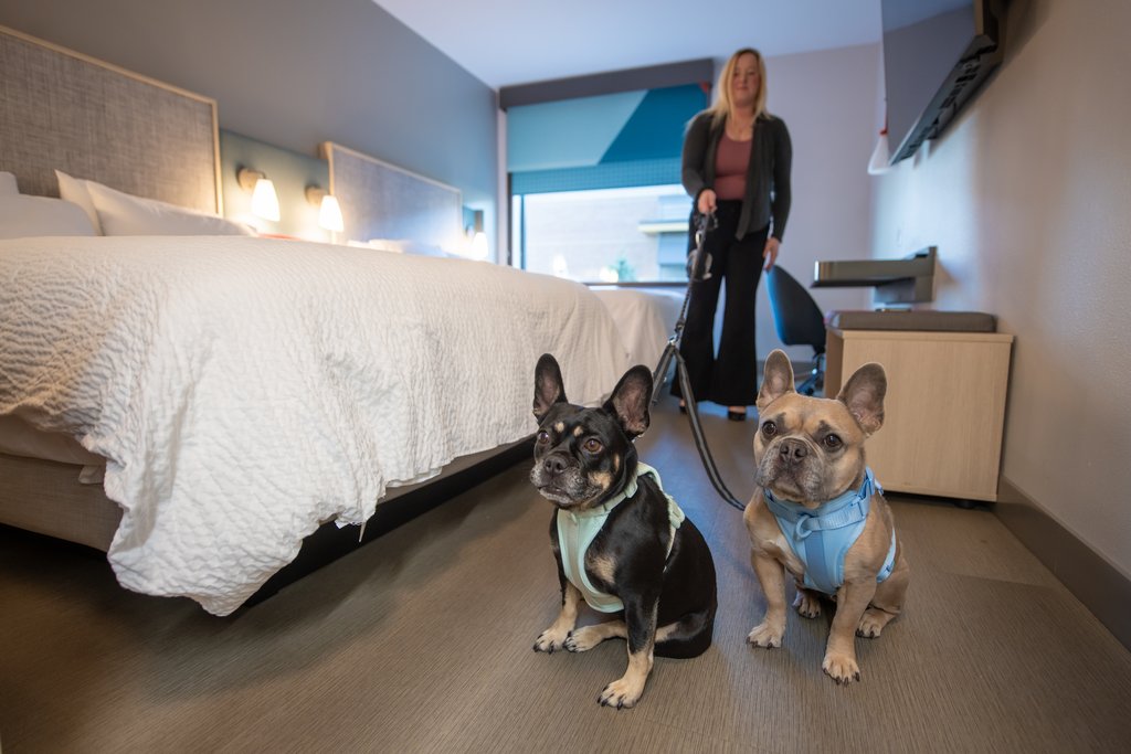 avid hotel WISCONSIN DELLS – LAKE DELTON, Columbia, Wisconsin