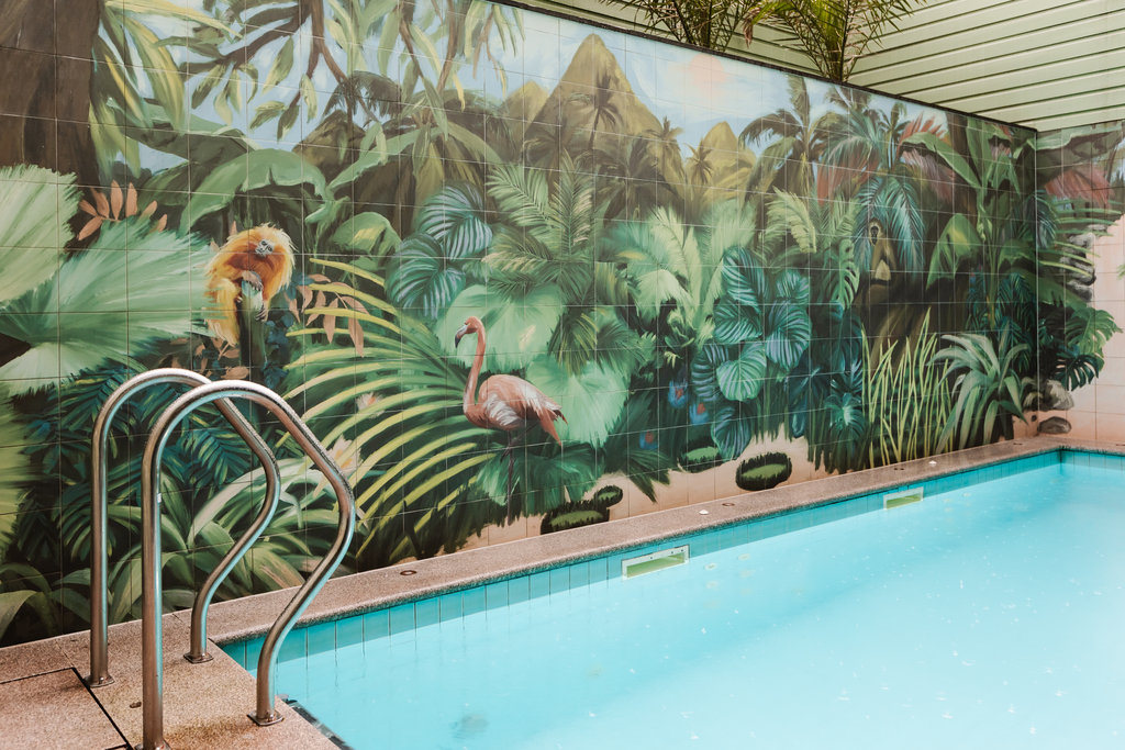 Guest photo