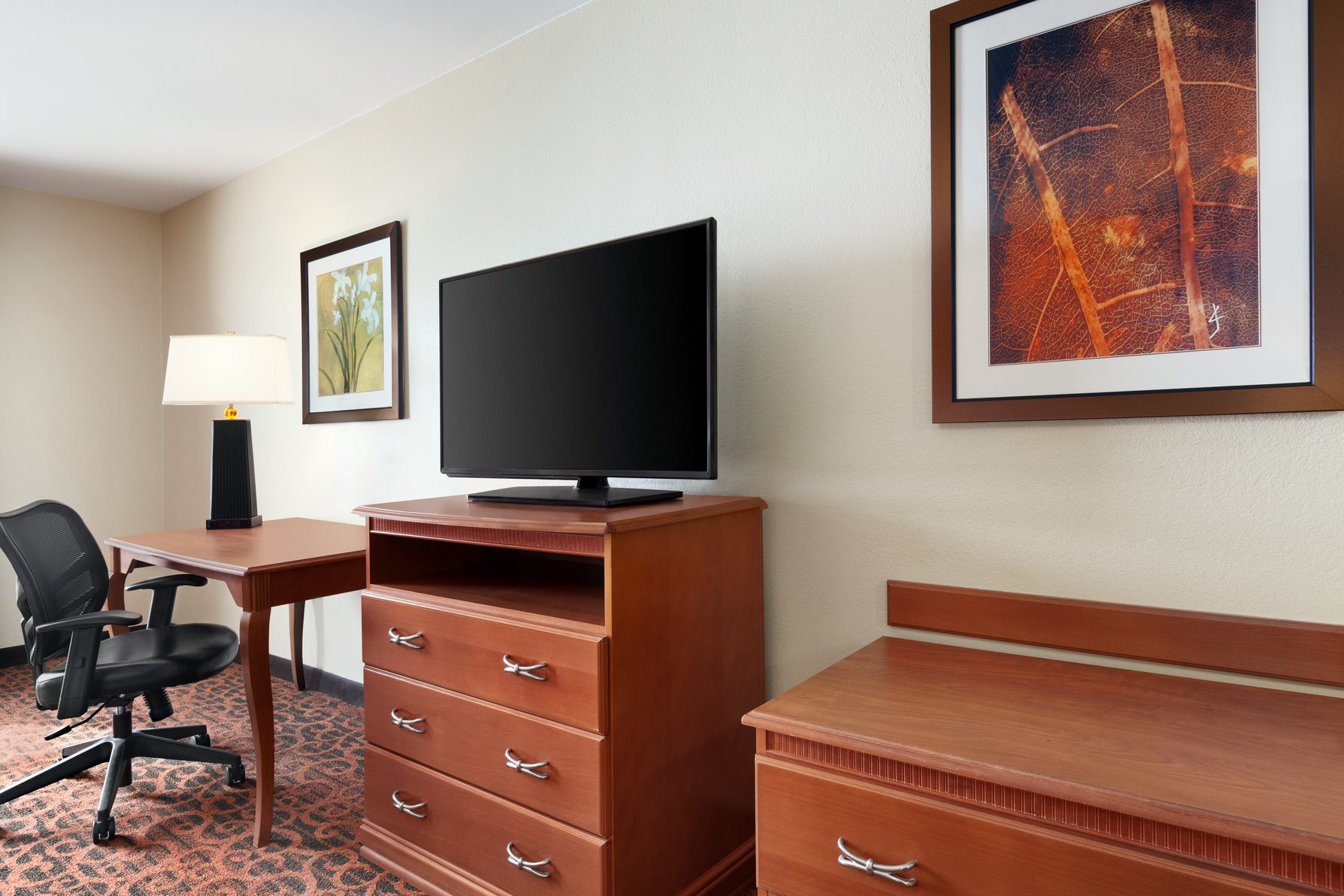Hampton Inn by Hilton Houston/Stafford Room Type - 2 QNS ACCESSIBLE W TUB NS