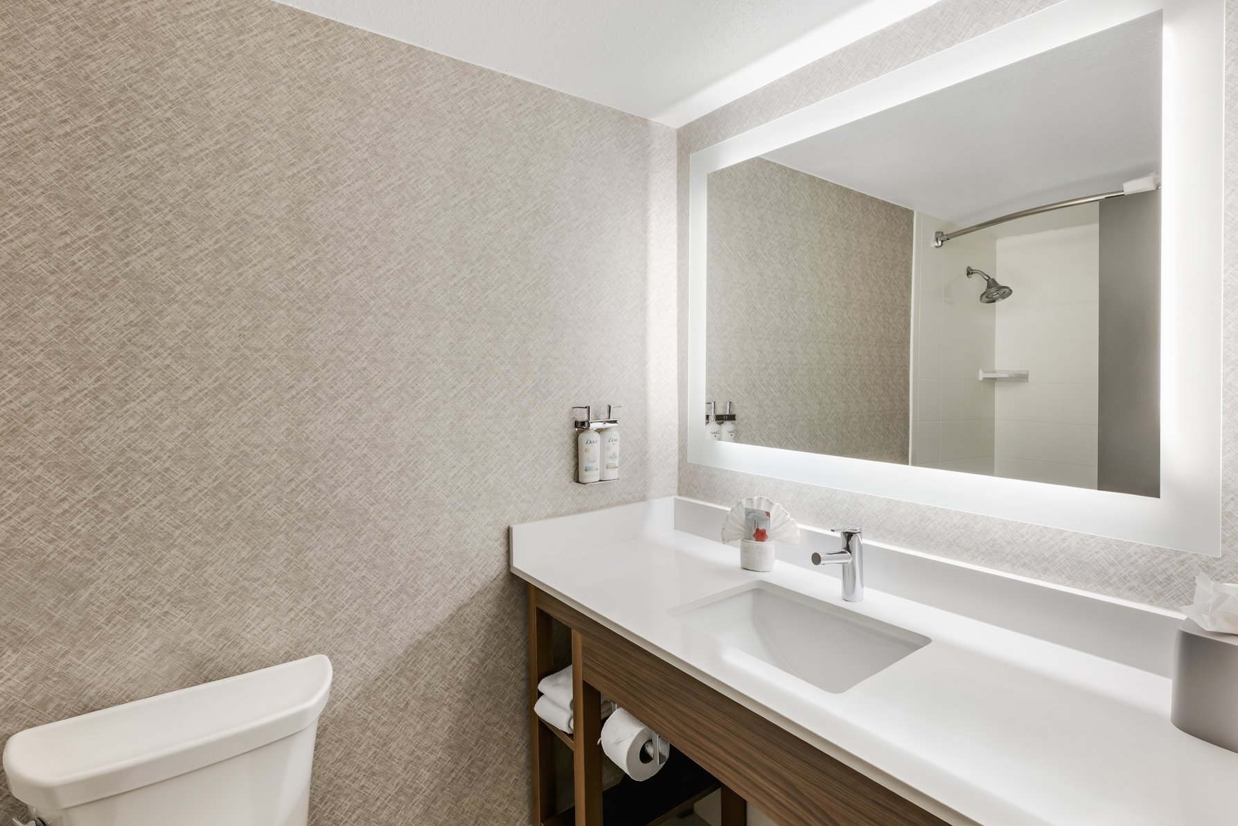 Holiday Inn Express Chicago-Downers Grove Room Type - 1 King Standard