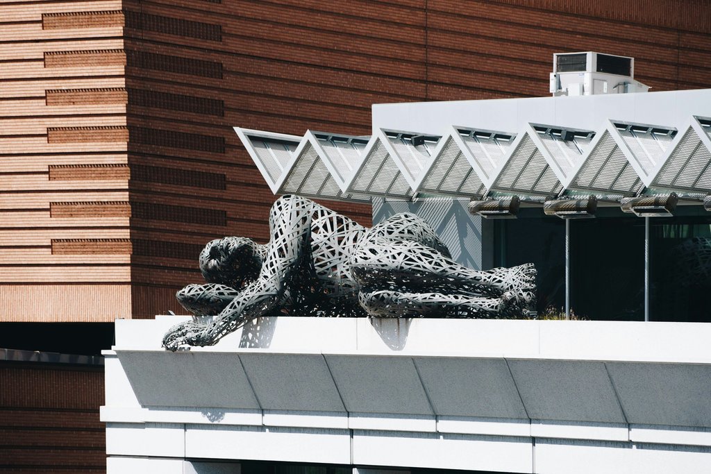 Guest photo