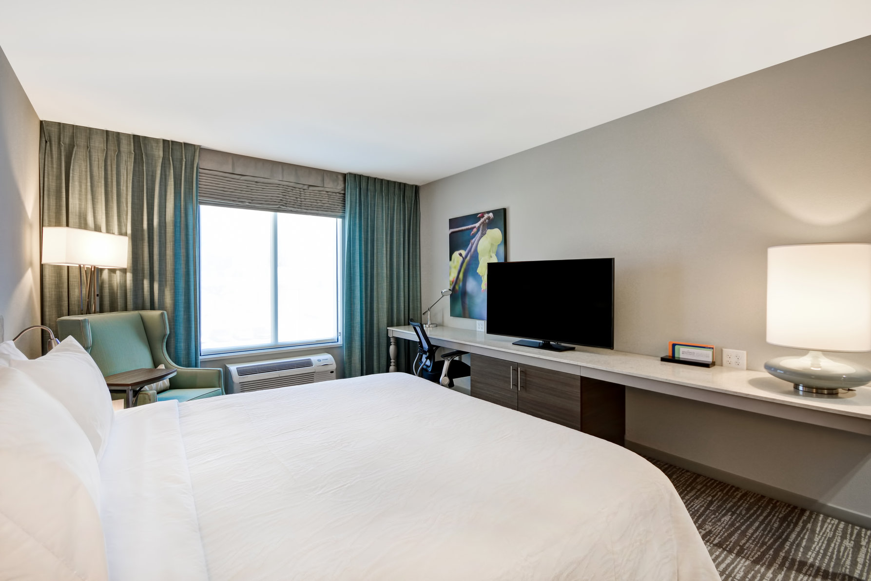 Hilton Garden Inn Gastonia Room Type - 1 KING PREMIUM