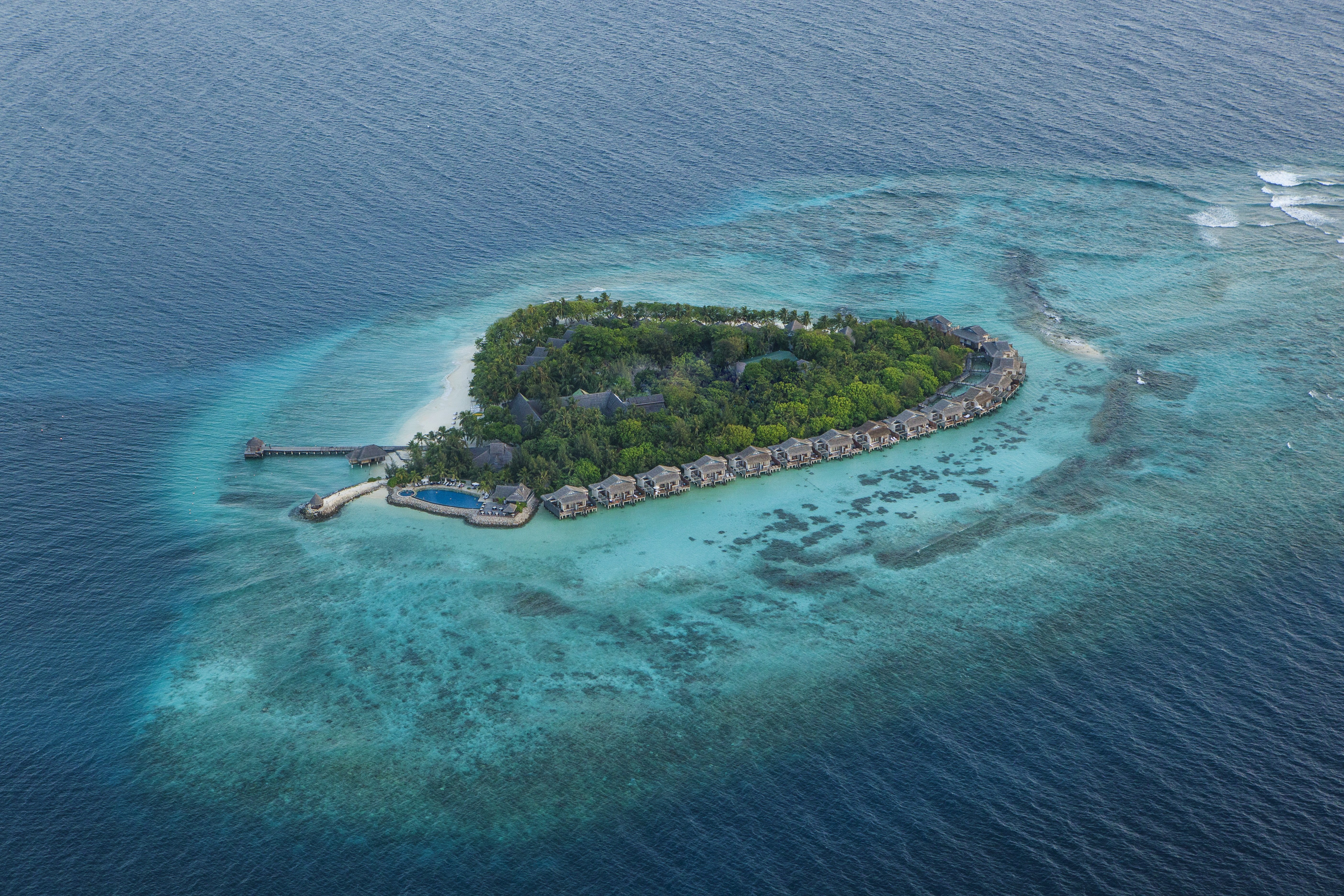 Vivanta by Taj-Coral Reef