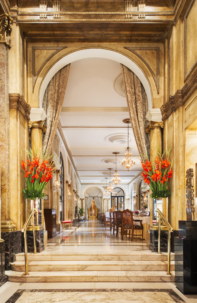 Guest photo