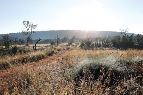 Shambala Game Reserve