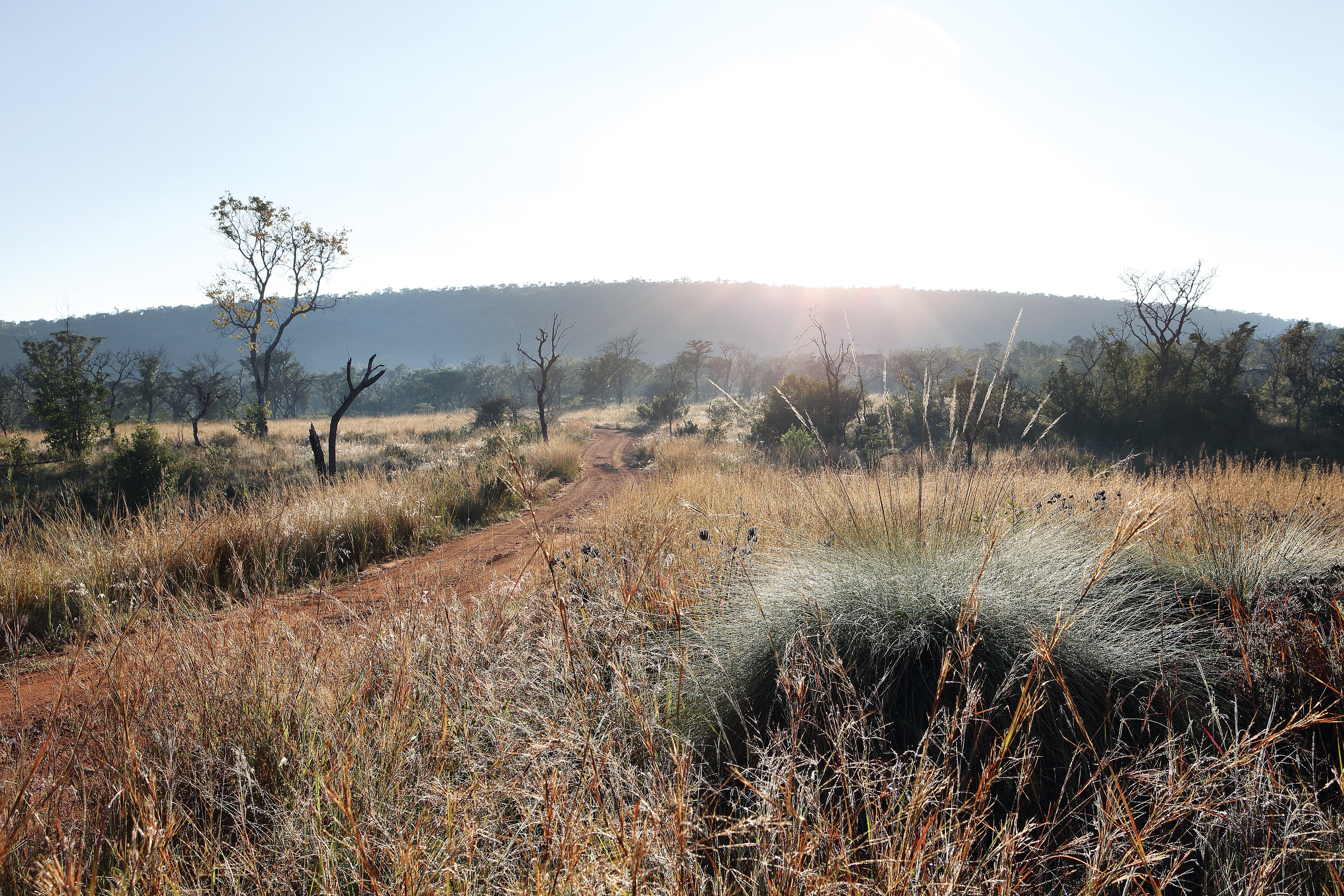 Zulu Camp at Shambala Game Reserve