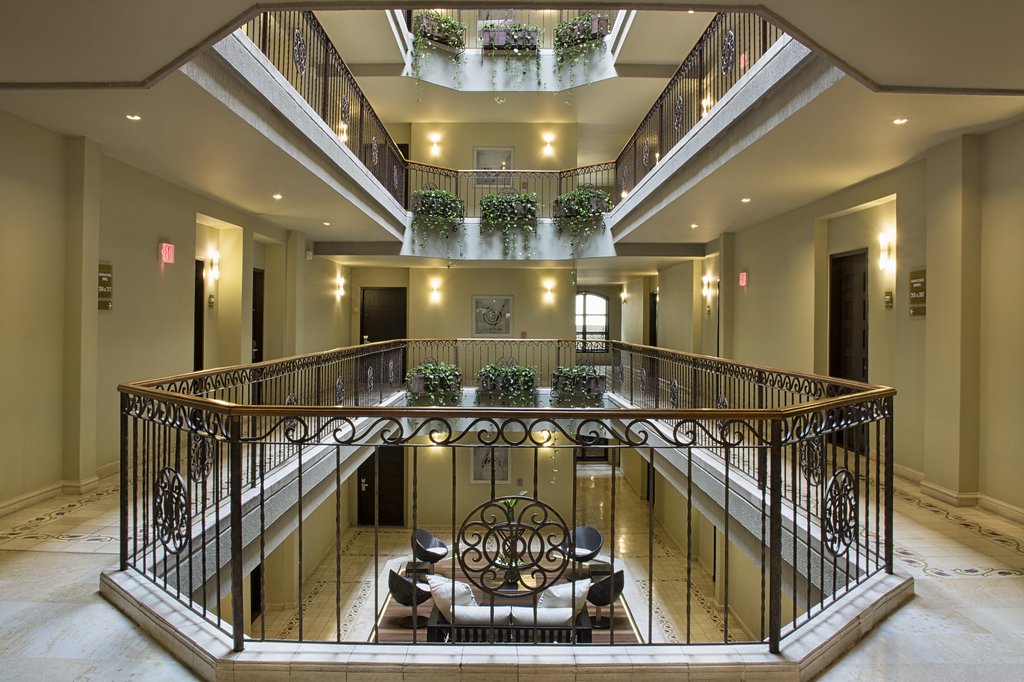 Guest photo