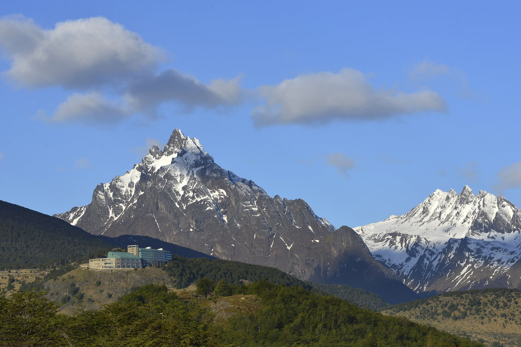 Guest photo