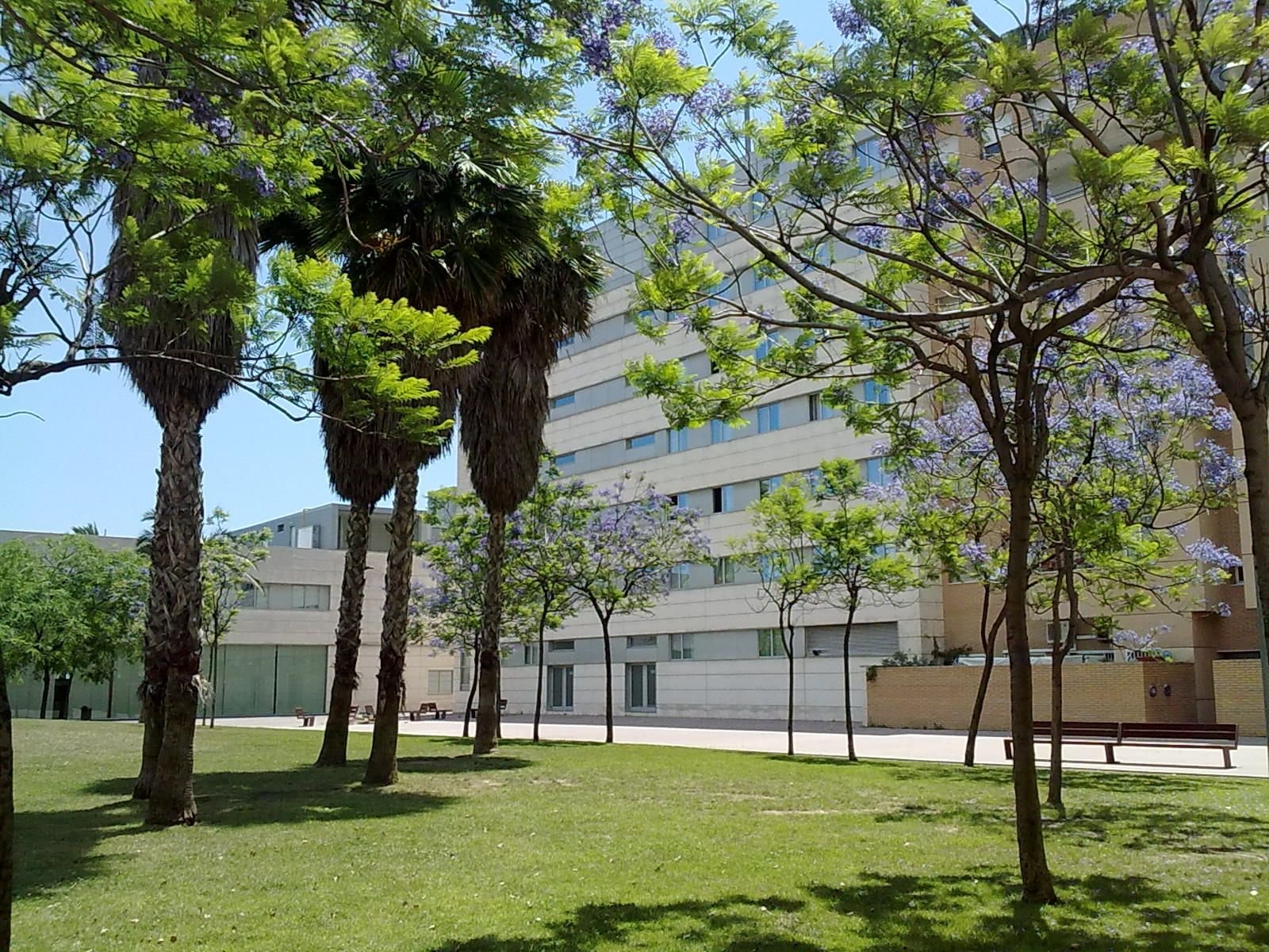 Hotel Front Maritim