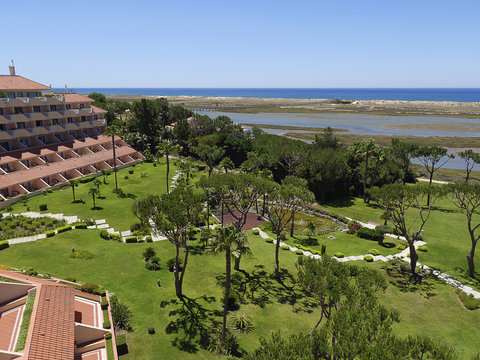 Aerial Garden Ocean View