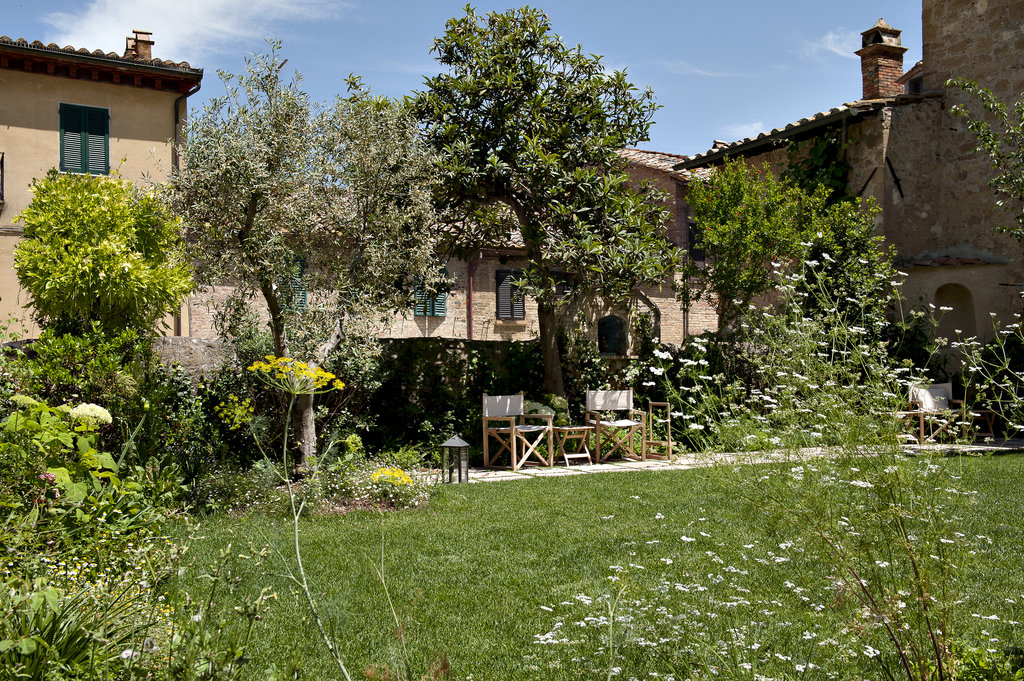 Guest photo