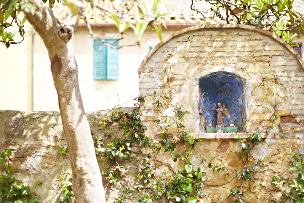 Guest photo