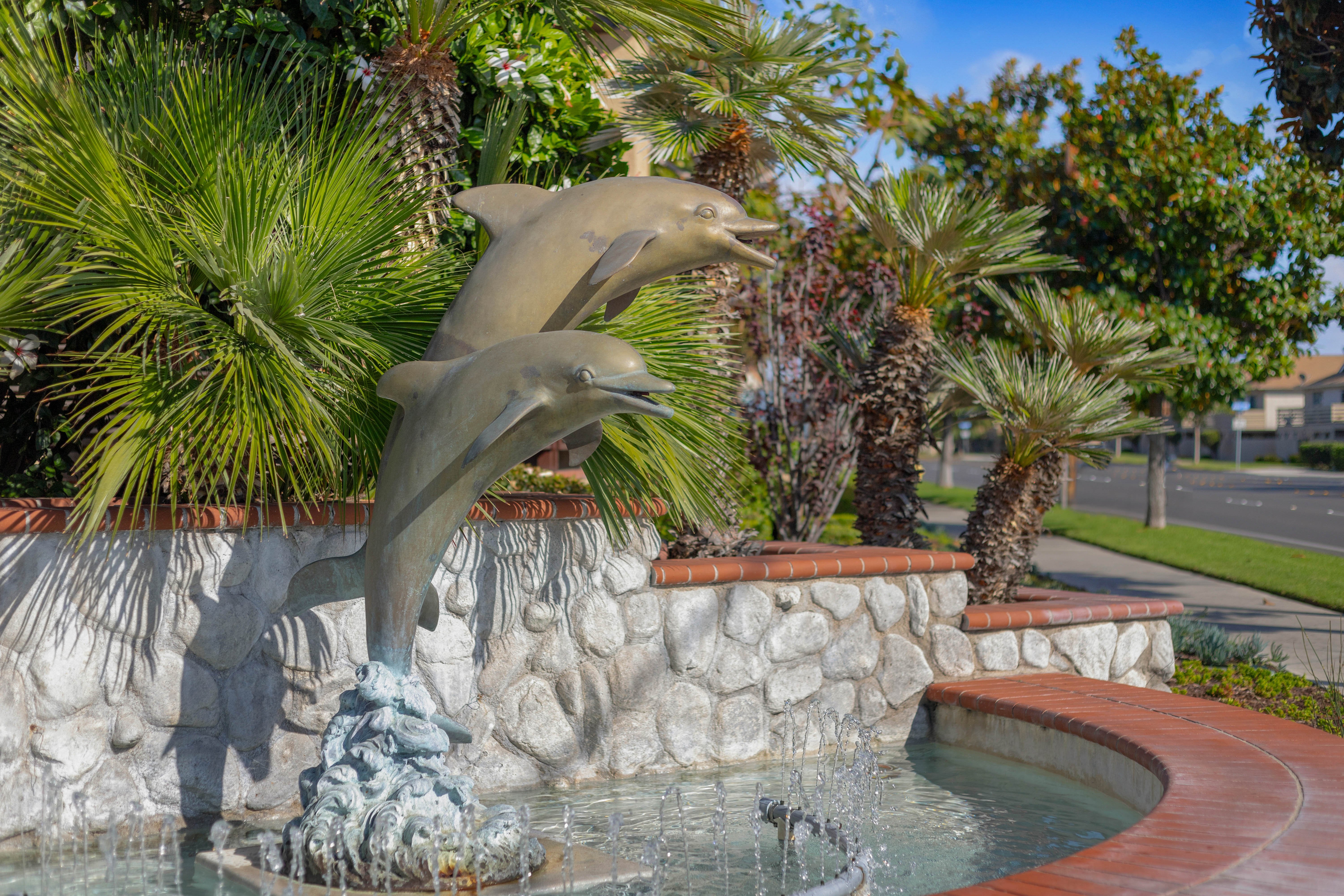 Dolphins Cove