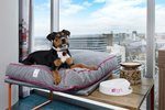 Aloft by Marriott Austin Downtown