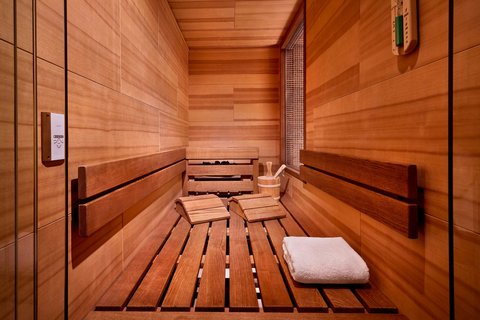 Presidential Suite Sauna