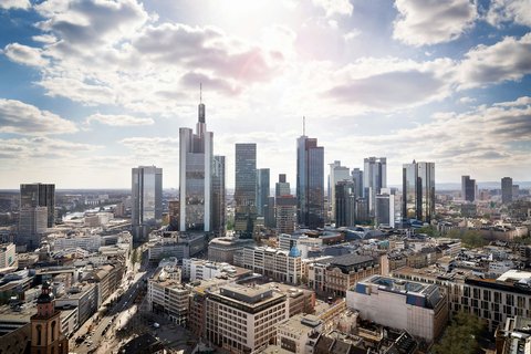 Skyline View