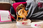 Aloft by Marriott Lima Miraflores