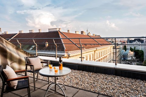 Rooftop Terrace Guest Room