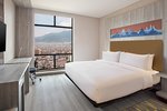 Guest room, 1 King