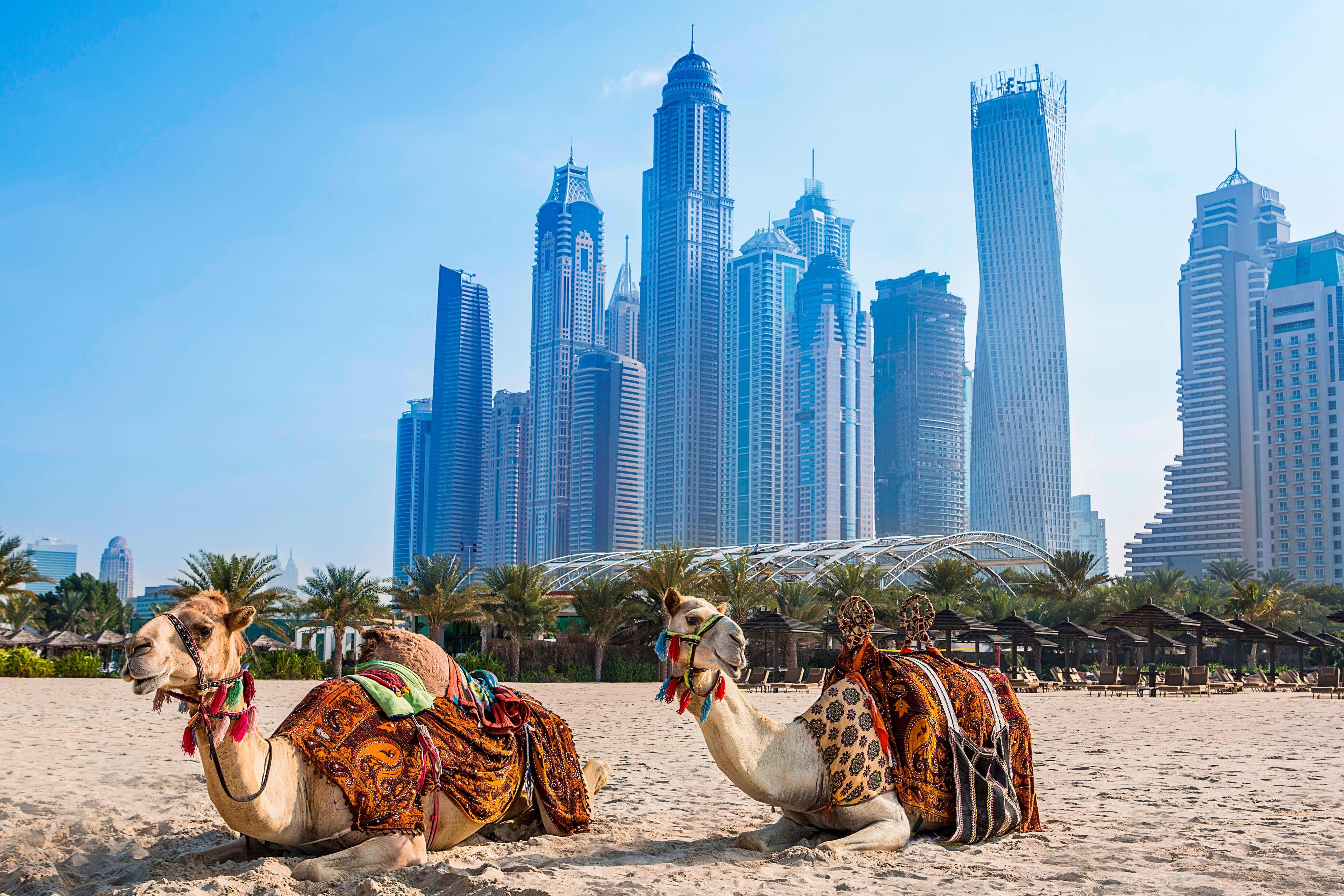 Al Habtoor Grand Resort, Autograph Coll