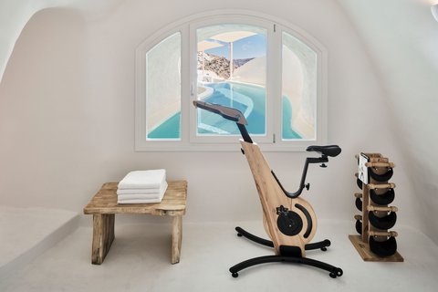 Mystery Villa - In Suite Gym