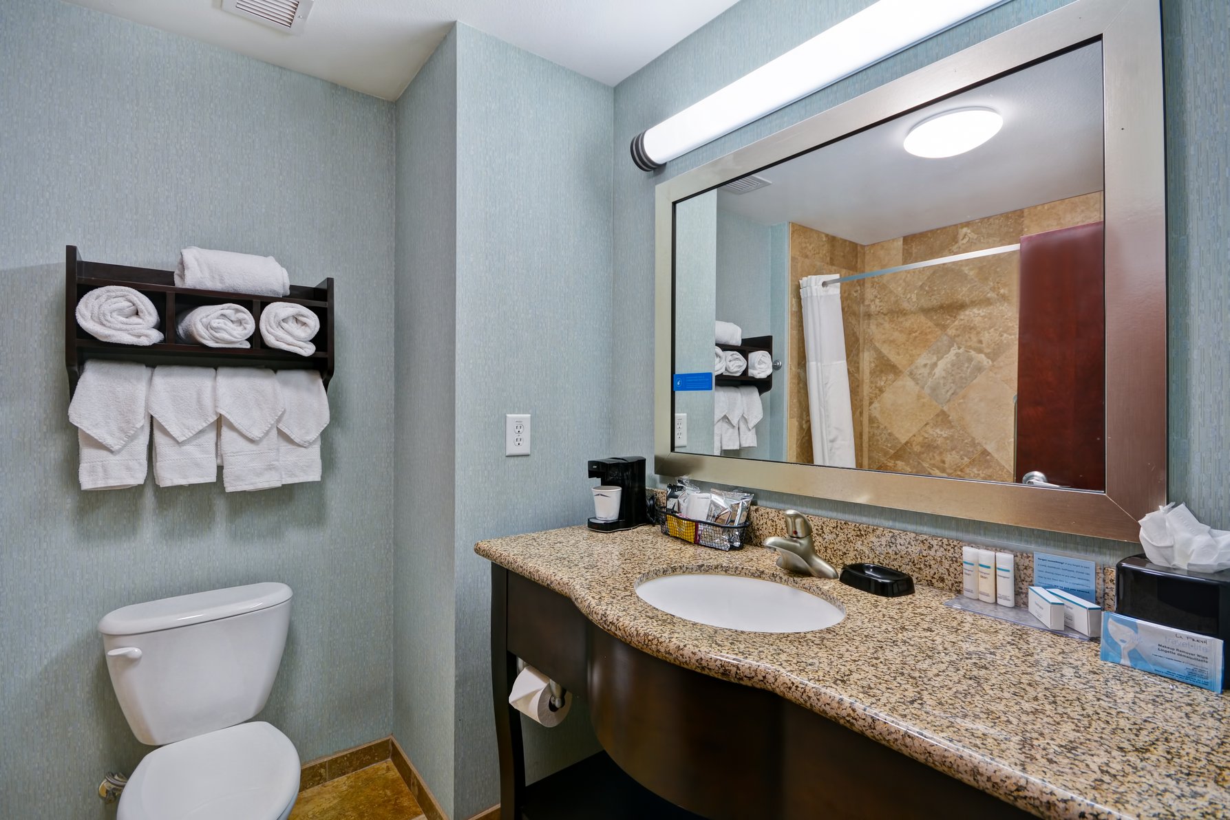 Hampton Inn & Suites by Hilton San Antonio/Northeast I-35 Room Type - 1KG MOB HEAR ACC RI-SHW NS