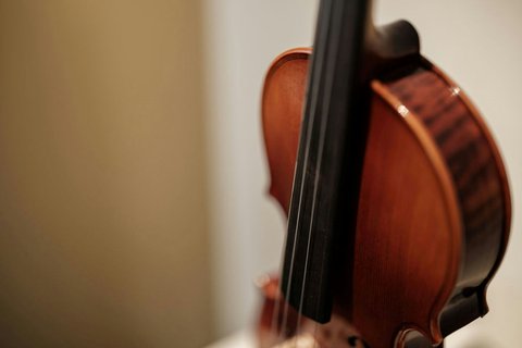 Close-up of violin