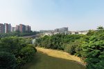 Guest room, 1 King, Park view