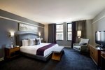 Executive King, Guest room, 1 King