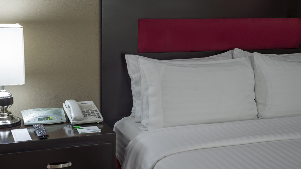 Ramada by Wyndham Ciudad de Mexico Perinorte