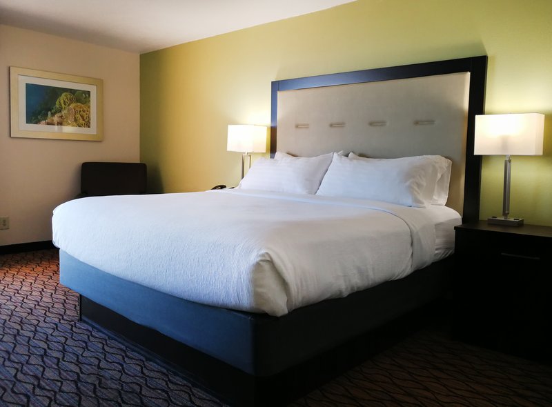 Holiday Inn Corpus Christi Downtown Marina