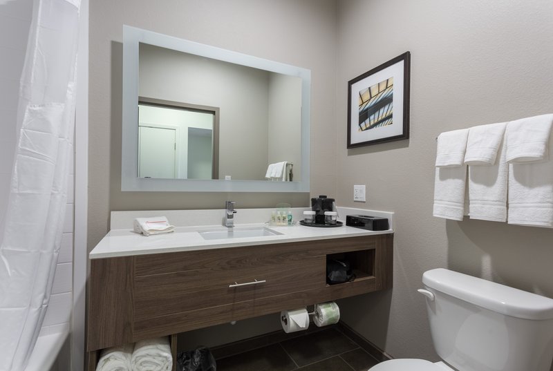 Holiday Inn San Marcos