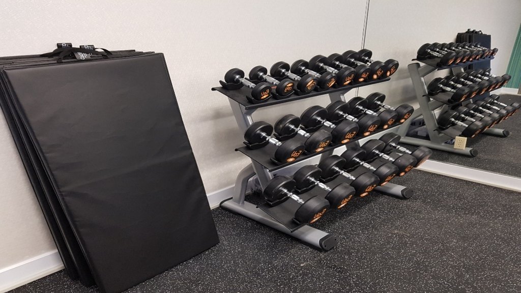 Precor weights