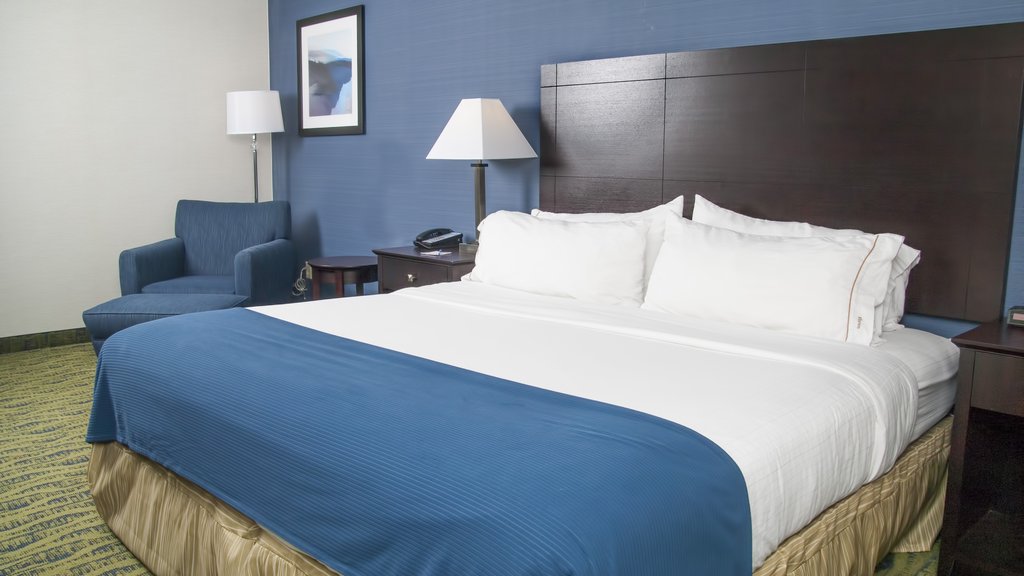 Holiday Inn Express York