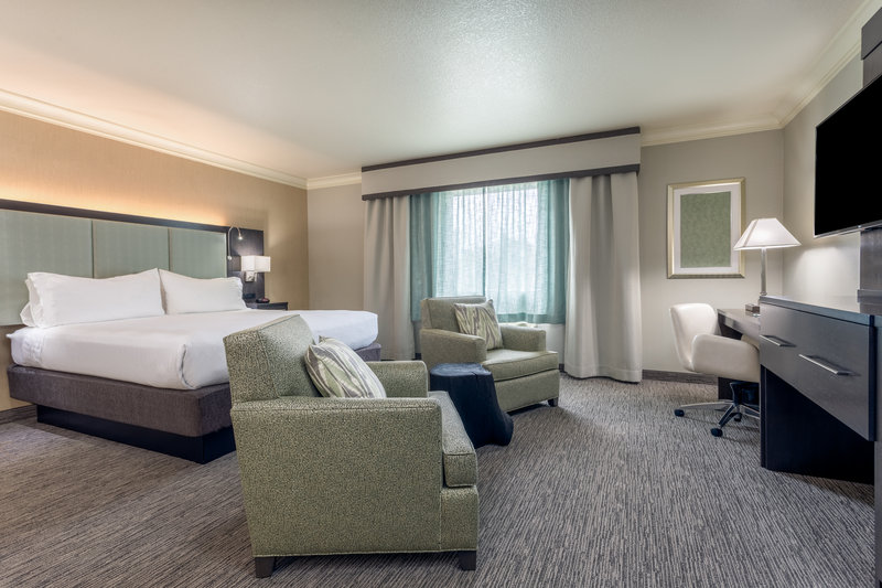 HOLIDAY INN AUBURN