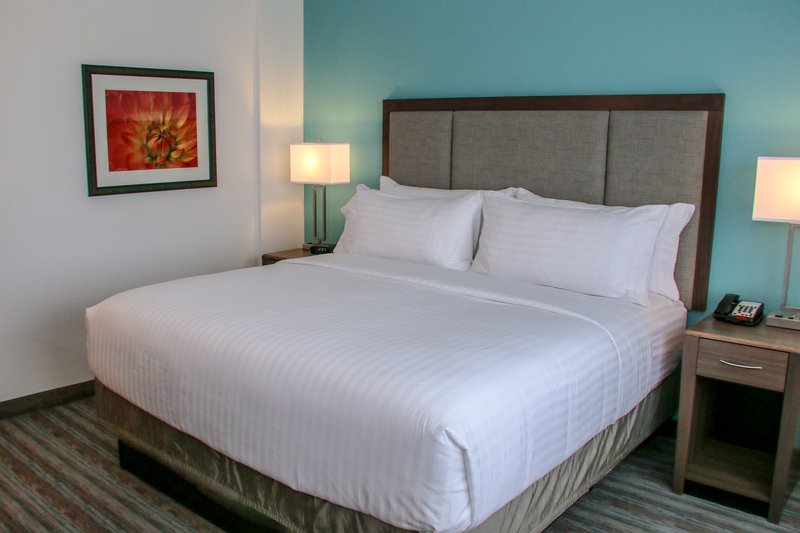 Holiday Inn Hotel and Suites Denver Tech Center-Centennial