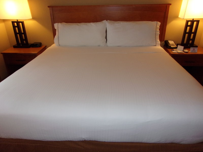Holiday Inn Express and Suites Chicago West-Roselle
