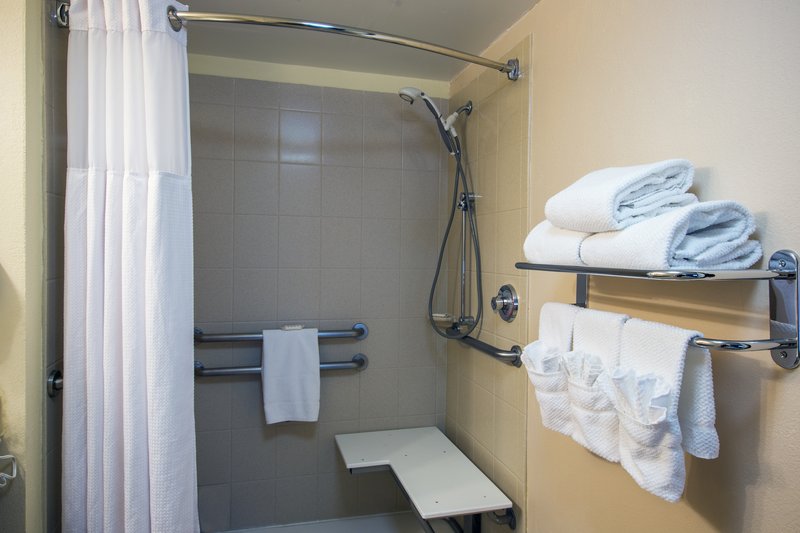 1 BDRM STE QUEEN BD WHEELCHR NONSMOKING