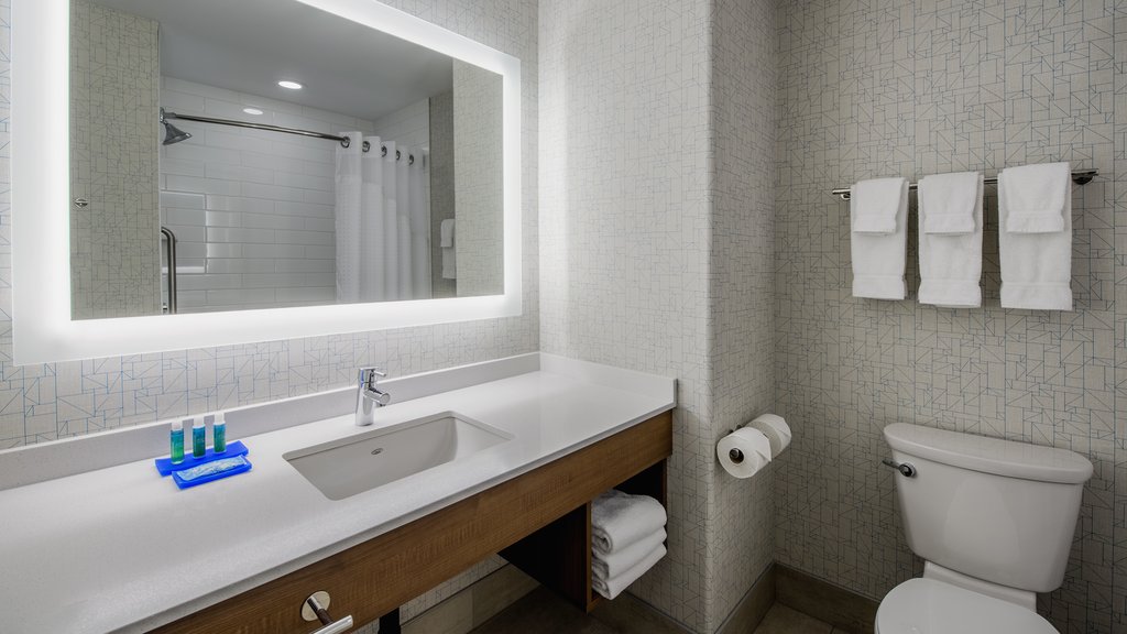 Holiday Inn Express Airdrie Room Type - 1 King Standard