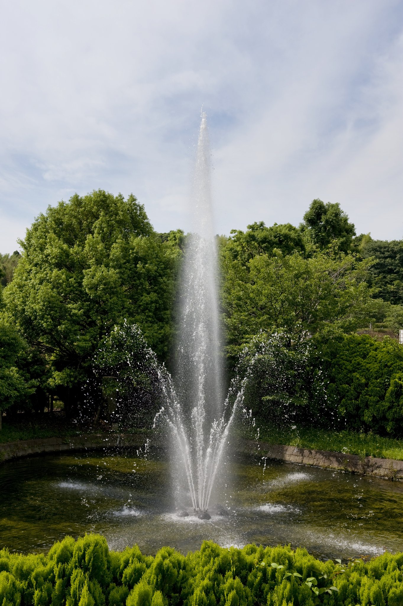 Crowne Plaza ANA Narita Garden Setting