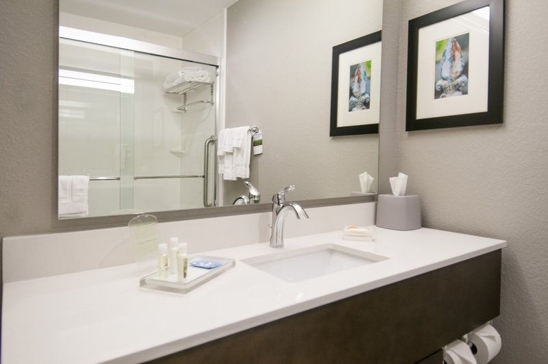 Holiday Inn New Orleans Airport North