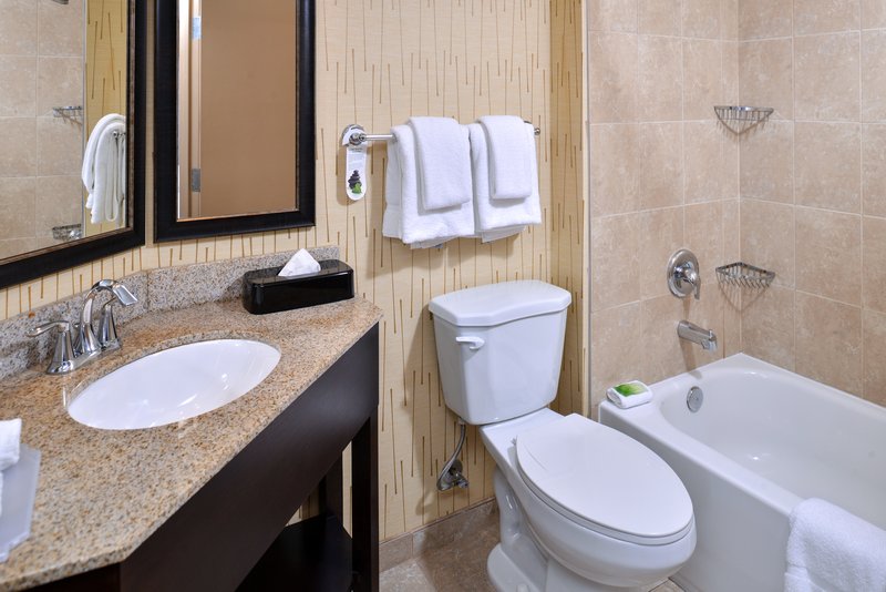 HOLIDAY INN EXPRESS HUNT VALLEY